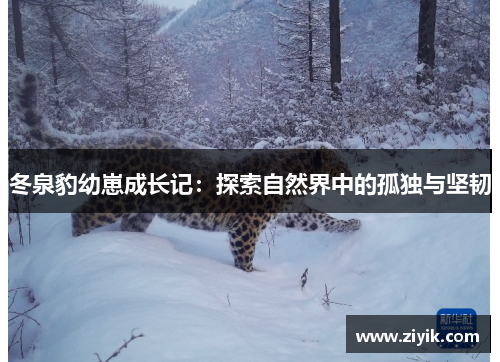 冬泉豹幼崽成长记：探索自然界中的孤独与坚韧