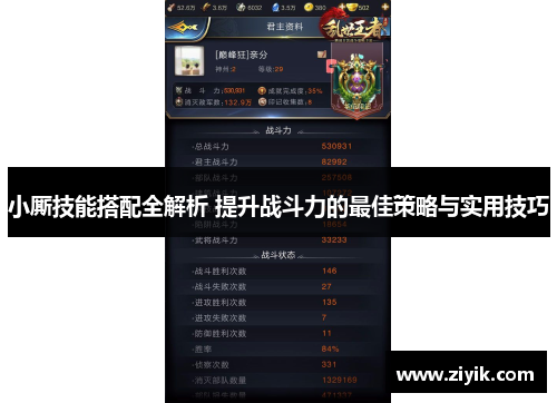 小厮技能搭配全解析 提升战斗力的最佳策略与实用技巧